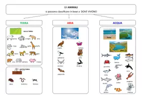 anteprima - Materiale di supporto/inclusione - SCIENZE - Gli animali (nozioni base) - Pagina 3