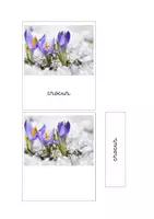 anteprima - Flashcard - Nomenclatura Montessori - Fiori di Montagna - Pagina 1