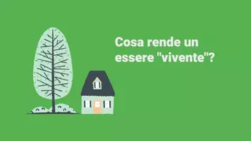 anteprima - Presentazioni / Lavagne - L'organizzazione dei viventi - Pagina 2