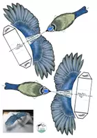 Vorschau - Arbeitsblätter - Vögel Lapbook interaktiv - Seite 1