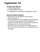 Vorschau - Arbeitsblätter - Vögel Lapbook interaktiv - Seite 2