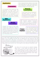 Vorschau - Arbeitsblätter - Das zentrale Dogma der Molekularbiologie! - Seite 3