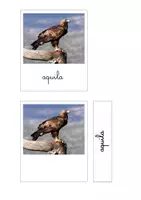 anteprima - Flashcard - Nomenclature Montessori - gli animali di montagna - Pagina 3