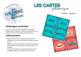 Vista previa - Juegos / Gamificación - Pack jocs tipus de paraules - página 1