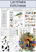 Vorschau - Arbeitsblätter - Kohlmeise - Lerntheke, Sammlung von Arbeitsblättern - Deckblatt