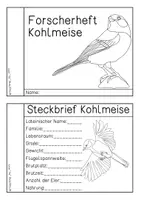 Vorschau - Arbeitsblätter - Forscherheft Kohlmeise - Seite 1