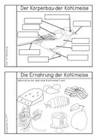 Vorschau - Arbeitsblätter - Forscherheft Kohlmeise - Seite 2