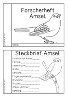 Vorschau - Arbeitsblätter - Amsel - Forscherheft - Seite 1