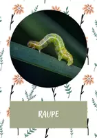 Vorschau - Stundenentwürfe - Bewegungslandschaft Tiere im Frühling - Seite 3
