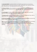 Vorschau - Spiele - Noli hoc dicere! - Das Ratespiel für den Lateinunterricht - Seite 2