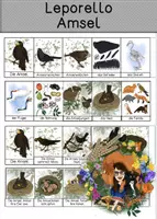 Vorschau - Arbeitsblätter - Amsel - Leporello - Deckblatt