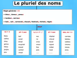 Aperçu - Autre type de ressources - Synthèse sur le pluriel des noms - Page de couverture
