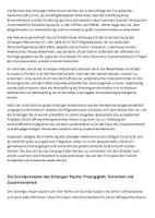 Vorschau - Arbeitsblätter - Der Schengen Vertrag - 5 Texte und Aufgaben + Lösung - Seite 2