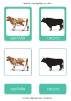 Προεπισκόπηση - Flashcards - Τα ζώα του αγρού, Ονοματολογία, ΜΟΝΤΕΣΣΟΡΙ, 75 κάρτες - Σελίδα 1