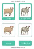 Προεπισκόπηση - Flashcards - Τα ζώα του αγρού, Ονοματολογία, ΜΟΝΤΕΣΣΟΡΙ, 75 κάρτες - Σελίδα 2