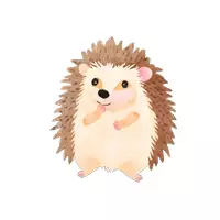 Vista previa - Decoración del aula - Clipart de Erizo | Clase de Erizo | Ilustraciones - página 2