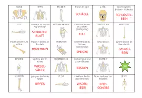 Vorschau - Spiele - Knochen und Skelett - Bingo - Seite 2