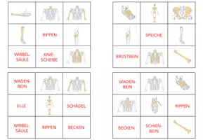Vorschau - Spiele - Knochen und Skelett - Bingo - Seite 3