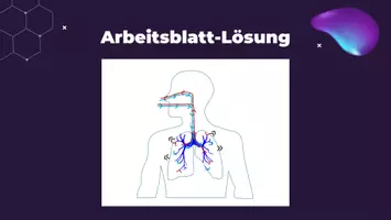 Vorschau - Stundenentwürfe - Materialpaket Atmung-Unterrichtsplanung, Powerpoint, Arbeitsblätter - Deckblatt