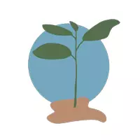 Vorschau - Bildkarten - Cliparts: Growth Mindset - Pflanzensymbole - Seite 2