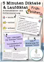 Vorschau - Arbeitsblätter - 5 Minuten Diktate und Laufdiktate "Frühblüher" mit Differenzierung #32 FrauCuppaTea - Deckblatt