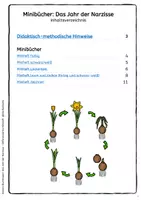 Vorschau - Arbeitsblätter - Das Jahr der Narzisse - Minibuch zum Frühblüher - Seite 1
