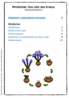 Vorschau - Arbeitsblätter - Krokus - großes Materialpaket zum Frühblüher - Seite 2