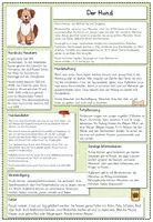 Vorschau - Poster - Infokartei Haustiere - Seite 3
