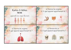 Aperçu - Jeux - Cartes à tâches - Les appareils du corps humain - Page de couverture