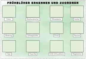 Vorschau - Fördermaterial/Inklusion - Frühblüher Klettmappe | Sachunterricht Klasse 1-2 - Seite 3