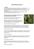 Vorschau - Mal- und Bastelvorlagen - Abenteuer im Zoo (Tierbeschreibung, Interview lesen, Mindmap erstellen, Wortarten erkennen, über Lieblingstiere sprechen) - Seite 2