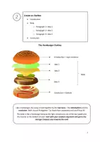 Vorschau - Arbeitsblätter - Opinion Essay - Guide: How to Write it + Linking Words - B1-B2 - Seite 3