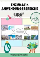 Vorschau - Arbeitsblätter - Anwendungsbereiche von Enzymen Enzymatik Arbeitsblatt - Deckblatt