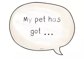Vorschau - Arbeitsblätter - Pet riddle: Monolog - Seite 3