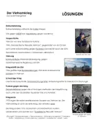 Vorschau - Arbeitsblätter - Vietnamkrieg kurz zusammengefasst (mit Erklärvideo) - Seite 1