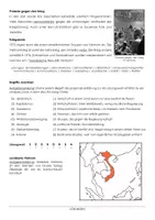 Vorschau - Arbeitsblätter - Arbeitsblatt "Der Vietnamkrieg" mit Erklärvideo, Lösungen und Onlineübungen - Seite 1