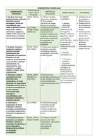 Vista previa - Unidades / Secuencias / Situaciones de Aprendizaje - Situación de Aprendizaje - ¡Nos vamos de compras! - página 2