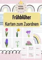 Vorschau - Spiele - Frühblüher - Karten zum Zuordnen - Merk es dir - Klasse 1 - Deckblatt