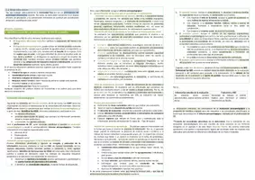 Vista previa - Para docentes: organización, planificación y formación - Oposiciones Pedagogía Terapéutica: Esquema tema 16 - página 3