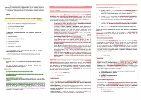 Vista previa - Para docentes: organización, planificación y formación - Oposiciones Pedagogía Terapéutica: Esquema tema 18 - página 1