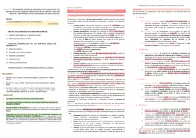 Vista previa - Para docentes: organización, planificación y formación - Oposiciones Pedagogía Terapéutica : Esquema tema 20 - página 1