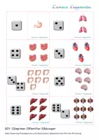 Aperçu - Apprentissages en autonomie - Corps humain - cartes de paires de maths - Page 3