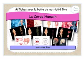 Aperçu - Affichage - Corps humain - boite de motricité fine - Page de couverture
