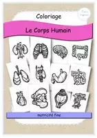 Aperçu - Feuilles d'exercices - Corps humain - coloriage - Page de couverture
