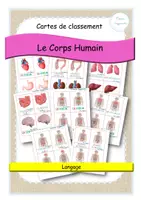 Aperçu - Apprentissages en autonomie - Corps humain - cartes de classement - les organes - MAJ - Page de couverture