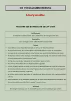 Vorschau - Arbeitsblätter - Vorgangsbeschreibung - Buntwäsche mit Lösung - Seite 3