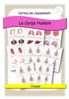 Aperçu - Apprentissages en autonomie - Corps humain - cartes de classement - les organes - attaché - Page de couverture