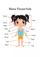 Vorschau - Arbeitsblätter - Körperteile Arbeitsblatt Mädchen und Buben - Seite 2