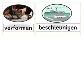 Vorschau - Fördermaterial/Inklusion - Kraft und Bewegung: Lernumgebung / Advance Organizer - Seite 3