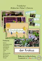Vorschau - Spiele - Frühblüher: Bildkarten (Tafelmaterial) + Domino zum Basteln - Deckblatt